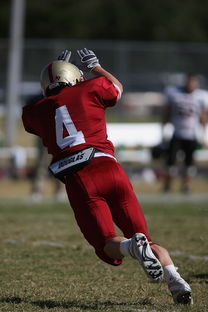 ac米兰足球队-冠军球队赛季告别仪式感人，感恩球员与球迷，球队夺冠怎么发朋友圈